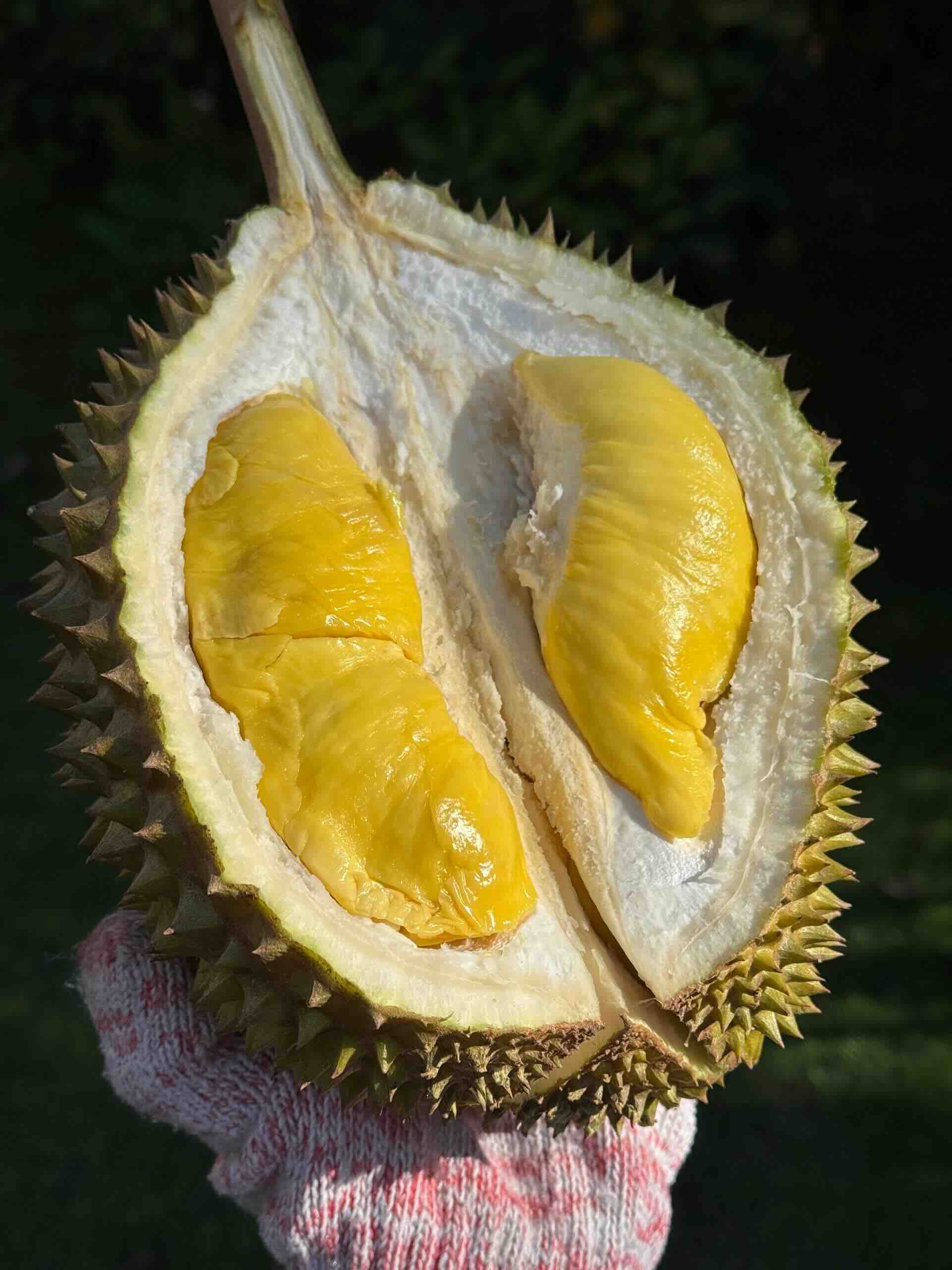 榴莲的10大健康益处(科学支持)