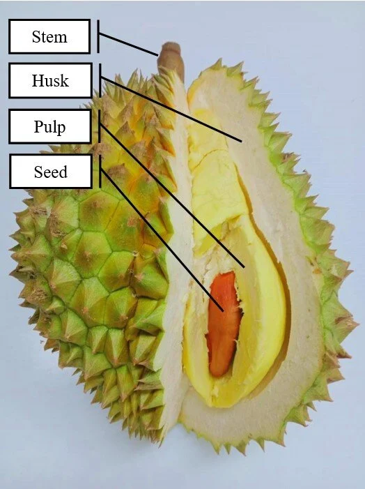 Durian Nutrition: Calories, Macros & What's Really Inside Each Seed