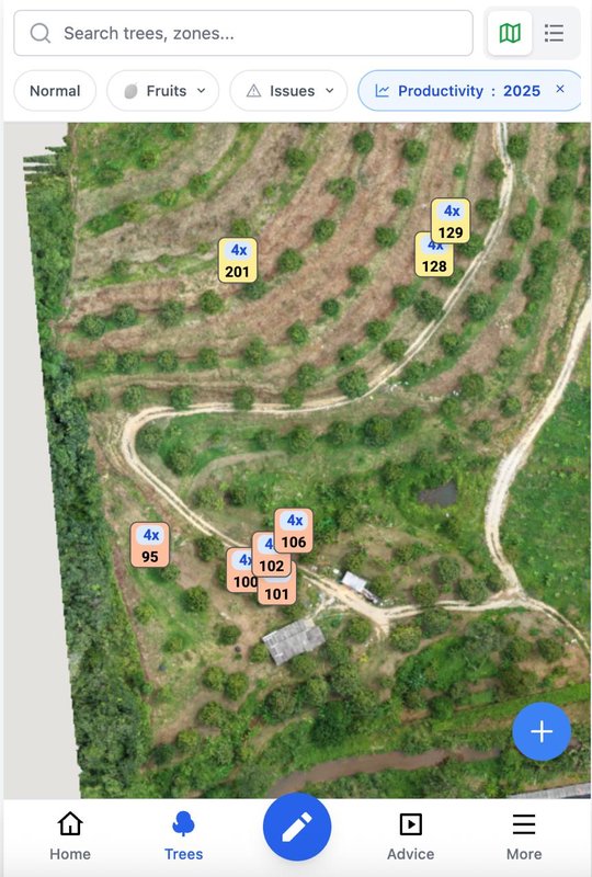 From WhatsApp to 5 Clicks: How We Track 350 Durian Trees