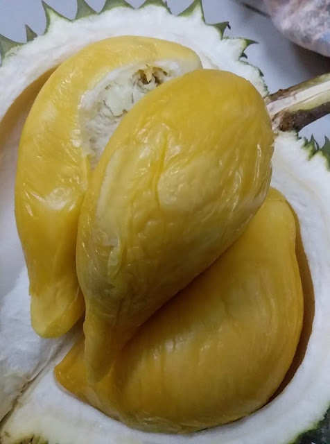 D145 Tuan Mek Hijau (Beserah)