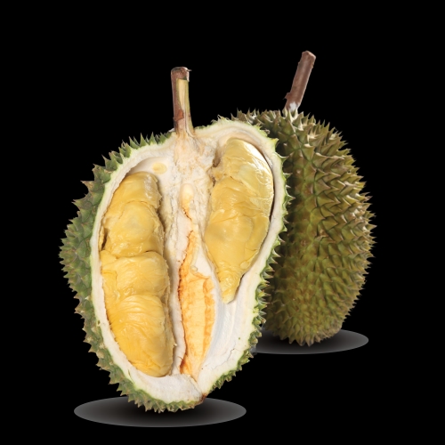 D160 Buluh Bawah (Tekka)