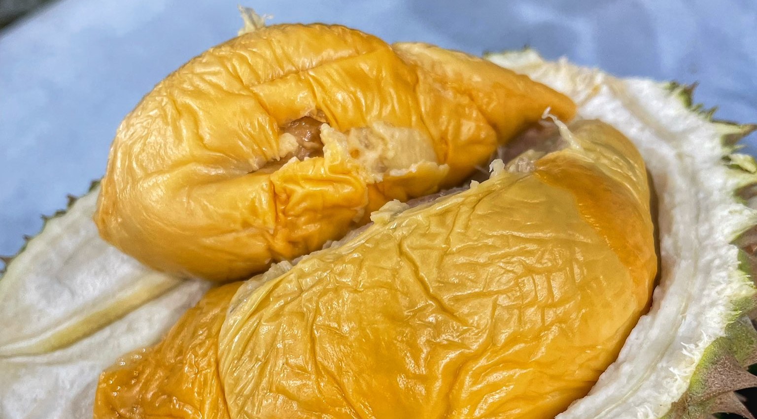 IOI durian with golden-orange flesh