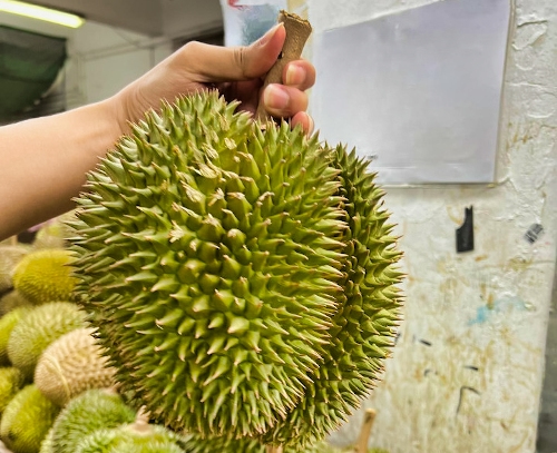 IOI durian opened showing orange-gold flesh