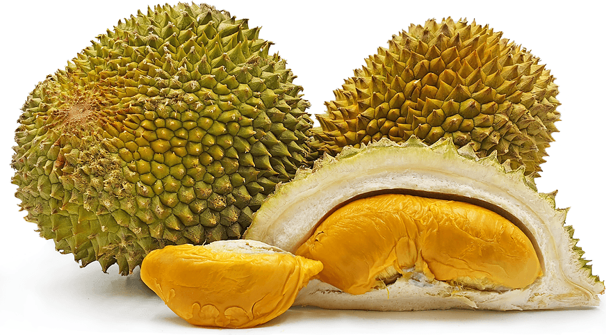 D175 Udang Merah (Red Prawn)