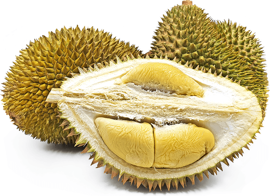 D24 durian up close