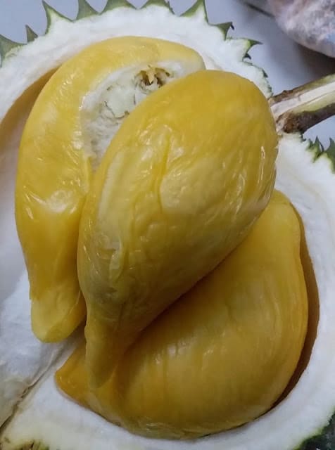 Tuan Mek Hijau