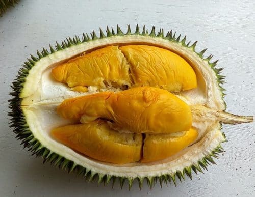 Durian Mas Hjh. Hasmah