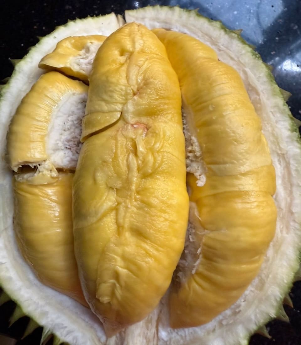 榴莲含胆固醇高吗?神话与事实