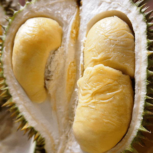 Chanee durian with coarse thorns and brownish husk