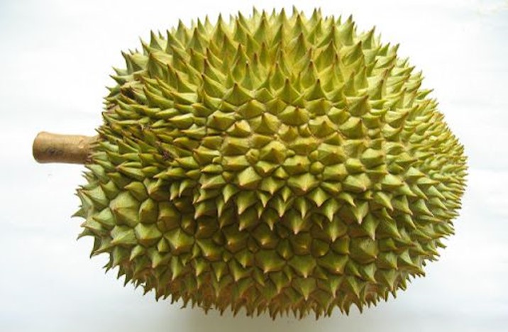 Rouge D24 durian with orange-yellow flesh