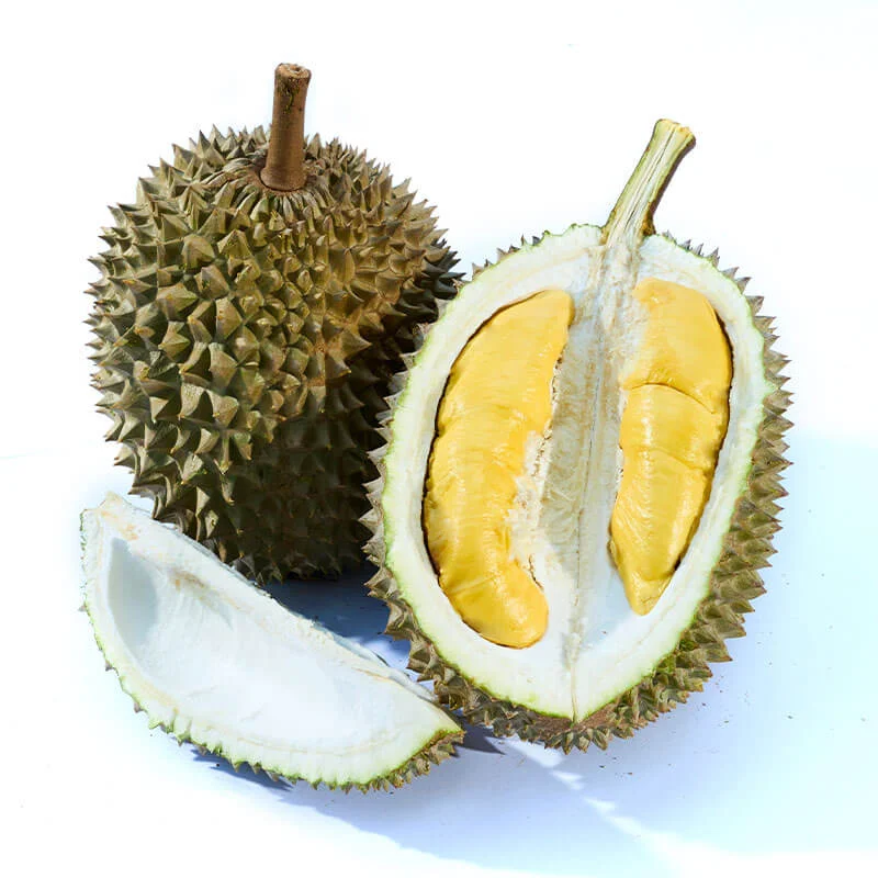 D197 Raja Kunyit (Musang King)